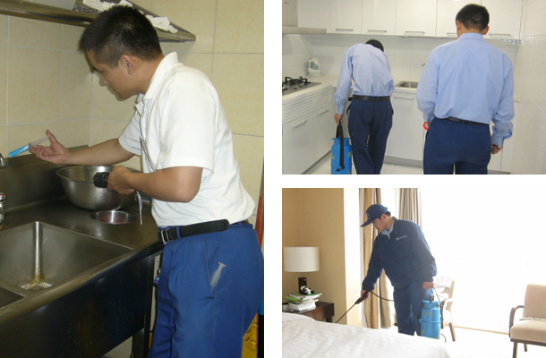 http://www.shachong8.com/Projects/zlfz.html
