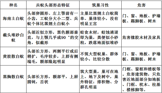 【灭白蚁公司】东方汉诺—北京快讯