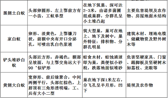 【灭白蚁公司】东方汉诺—北京快讯