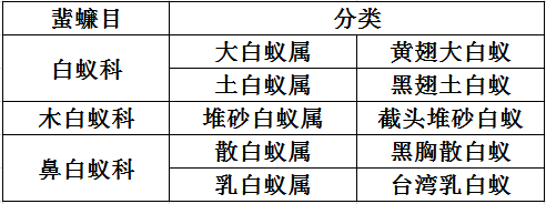 【灭白蚁公司】东方汉诺—北京快讯