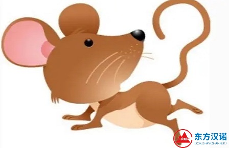 灭鼠公司4招教你如何推算身边老鼠的数量-东方汉诺-北京快讯