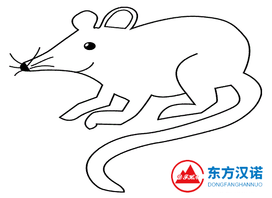 老鼠名片：小家鼠——有人居住的地方，都有它的踪迹