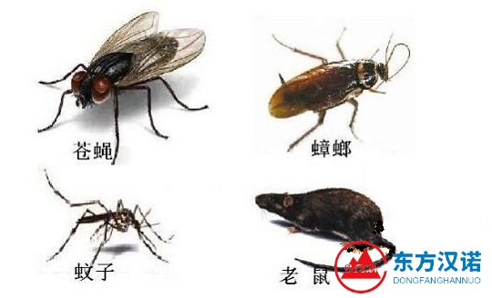 新版除四害达标操作指南——创卫进行时（12种管理项目）-东方汉诺-北京快讯