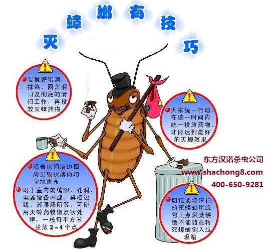 【杀蟑螂公司】东方汉诺—北京快讯