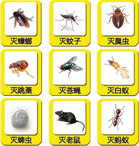 【杀虫公司】我们身边有哪些常见的吸血虫子？-东方汉诺-北京快讯