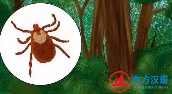 【北京专业专业灭虫公司】东方汉诺—北京快讯