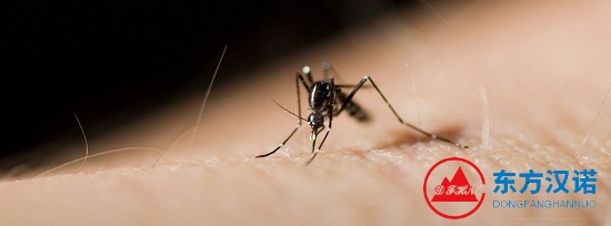杀虫公司：蚊子叮咬会传播艾滋病吗？-东方汉诺-北京快讯