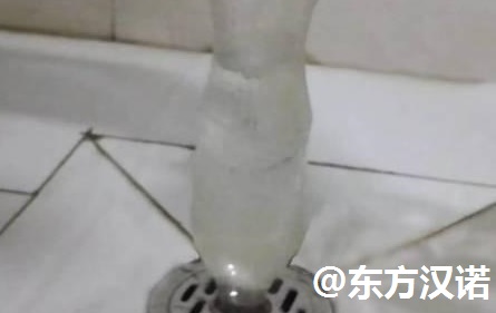 【卫生间有蛾蚋？灭虫公司教你一招歼灭烦人的小飞虫！—北京专业灭鼠公司东方汉诺】