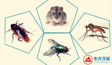 太详细了！有害生物防治|害虫防治对建筑设施的要求-东方汉诺-北京快讯