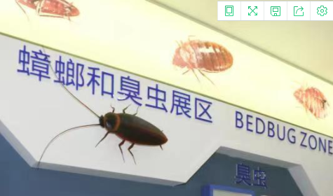老鼠、蚊子、苍蝇、蟑螂…这个博物馆的展品，好像有些不一样-东方汉诺-北京快讯