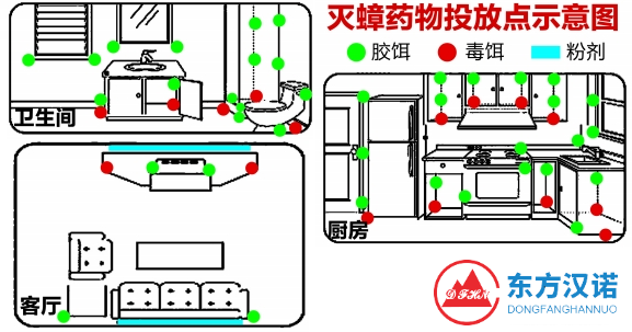 小强夹缝中求生存，应怎么彻底消灭蟑螂？-东方汉诺-北京快讯