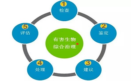 食品加工厂灭鼠防鼠全策略-东方汉诺-北京快讯