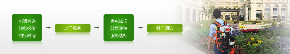 灭蟑螂公司,东方汉诺北京家庭杀蟑螂公司